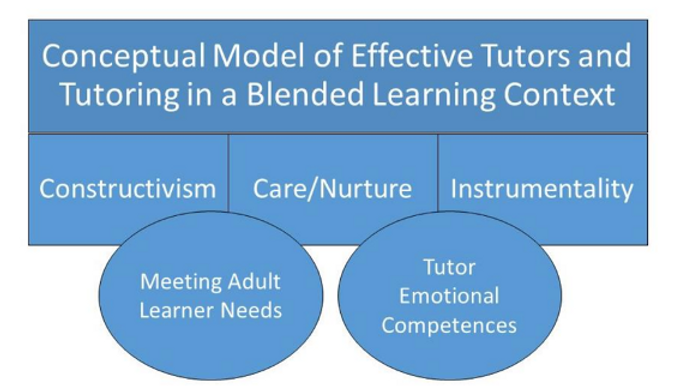 A model of the observed tutor beliefs and practices
