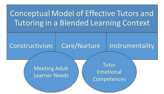 A model of the observed tutor beliefs and practices